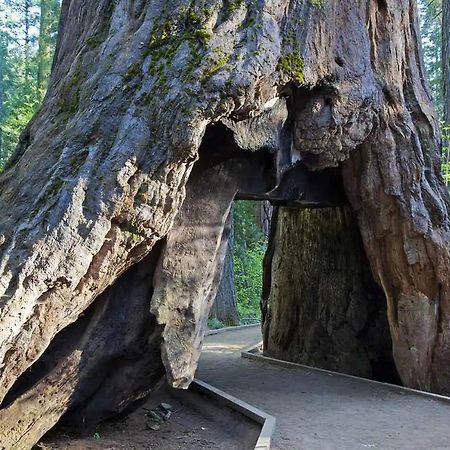 Lakeside Bls Retreat Near Big Trees & Bear Valley Villa Arnold Bagian luar foto