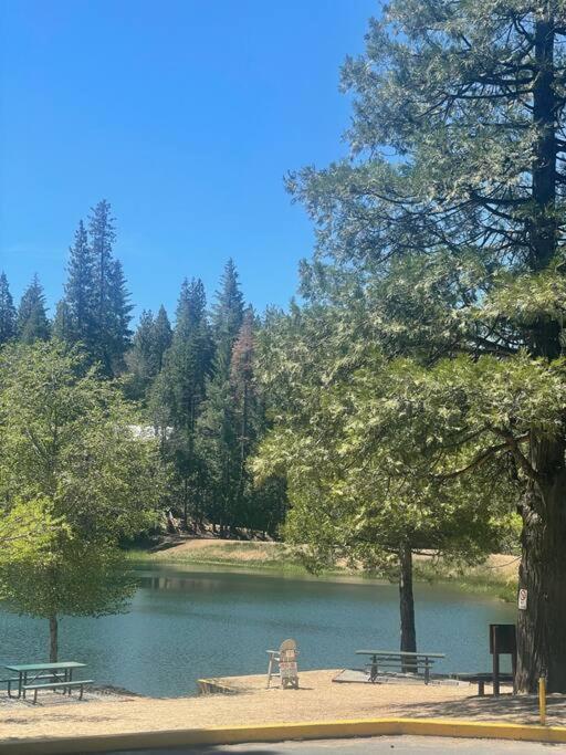 Lakeside Bls Retreat Near Big Trees & Bear Valley Villa Arnold Bagian luar foto