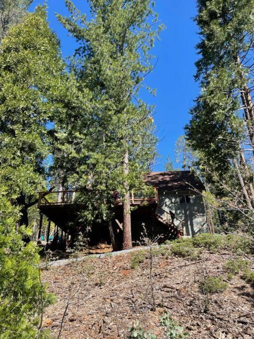 Lakeside Bls Retreat Near Big Trees & Bear Valley Villa Arnold Bagian luar foto